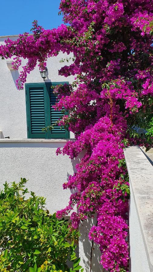 Apartman Filis Hvar Town Exterior foto