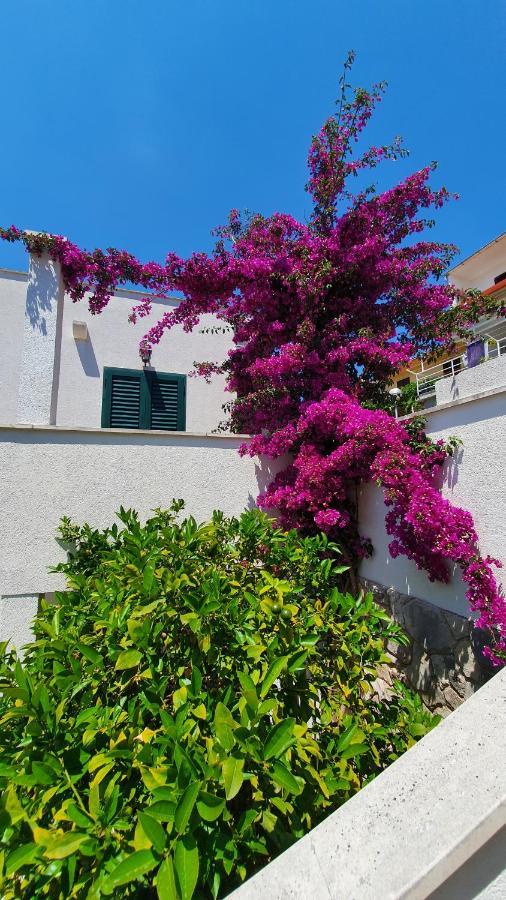 Apartman Filis Hvar Town Exterior foto
